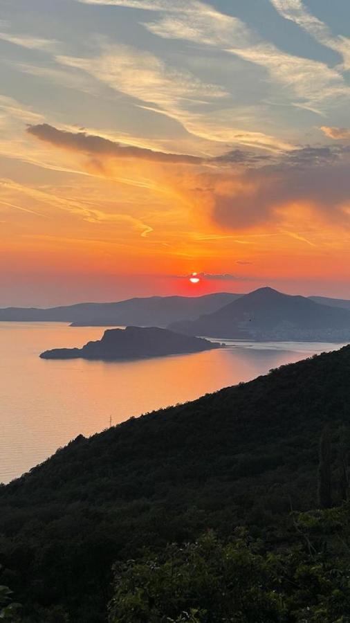 Ellenata Dream By The Sea